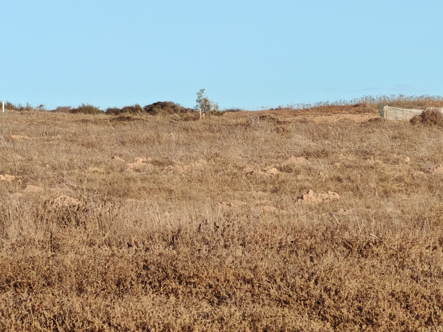 0 Bedroom Property for Sale in Langebaan Country Estate Western Cape